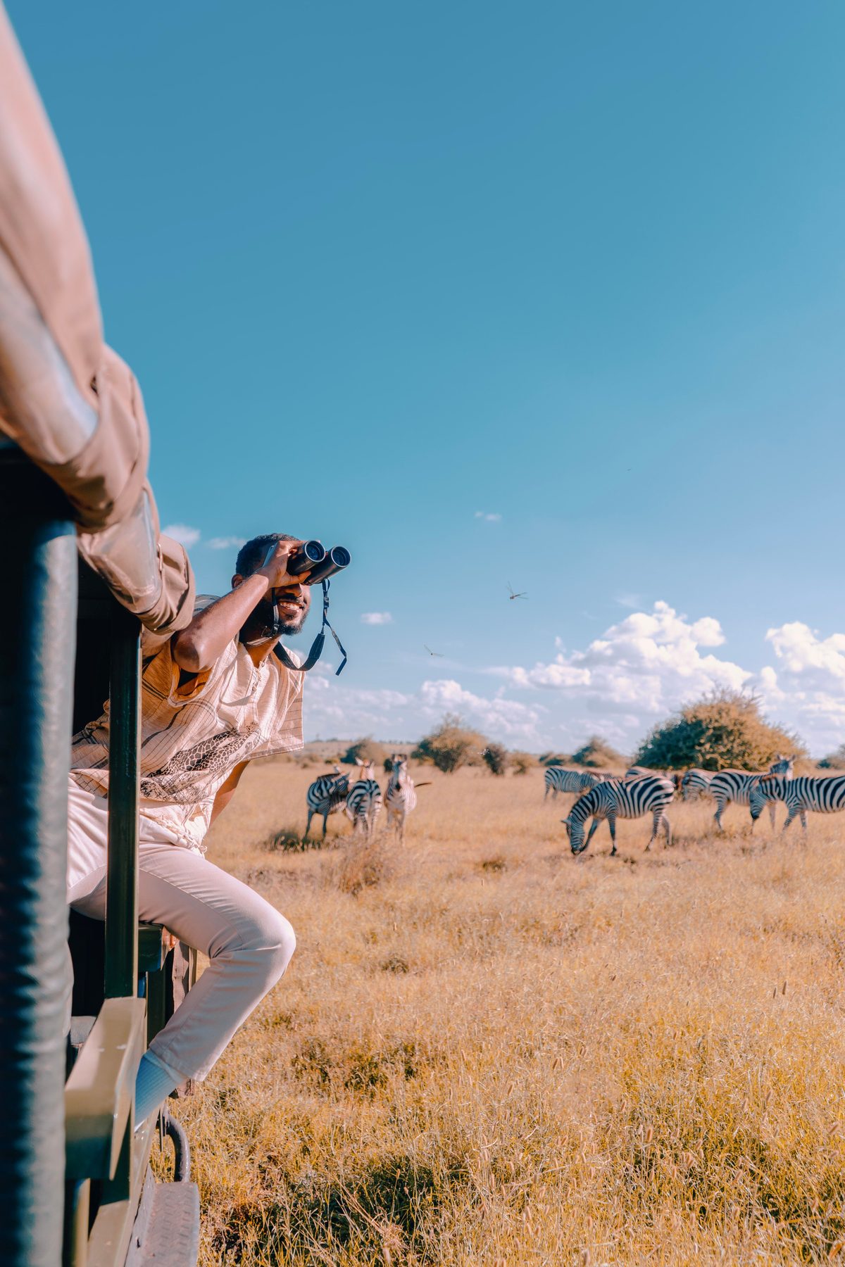 A man leaning out of a stopped vehicle watching a herd of zebra through binoculars across dry grassland