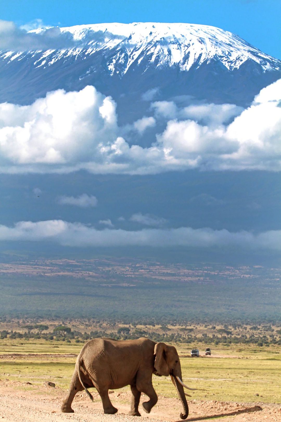 Kilimanjaro from the plain, its snow-capped summit standing clear above a bank of cloud, with an elephant walking across dry ground in the foreground