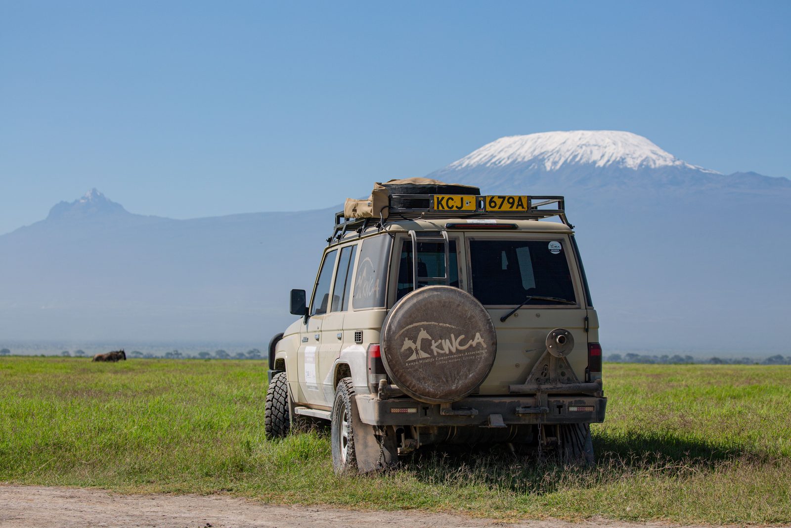 A safari vehicle loaded and waiting on a track through green grass at Amboseli in the early morning, with the snow-capped summit of Kilimanjaro standing on the horizon ahead of it
