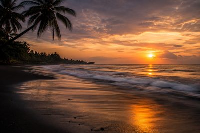 Volcanic black sand and Atlantic surf on the Cameroon coast at dusk