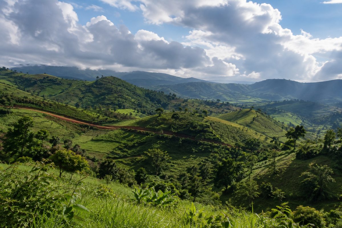 Clearing skies over the green Bamenda highlands