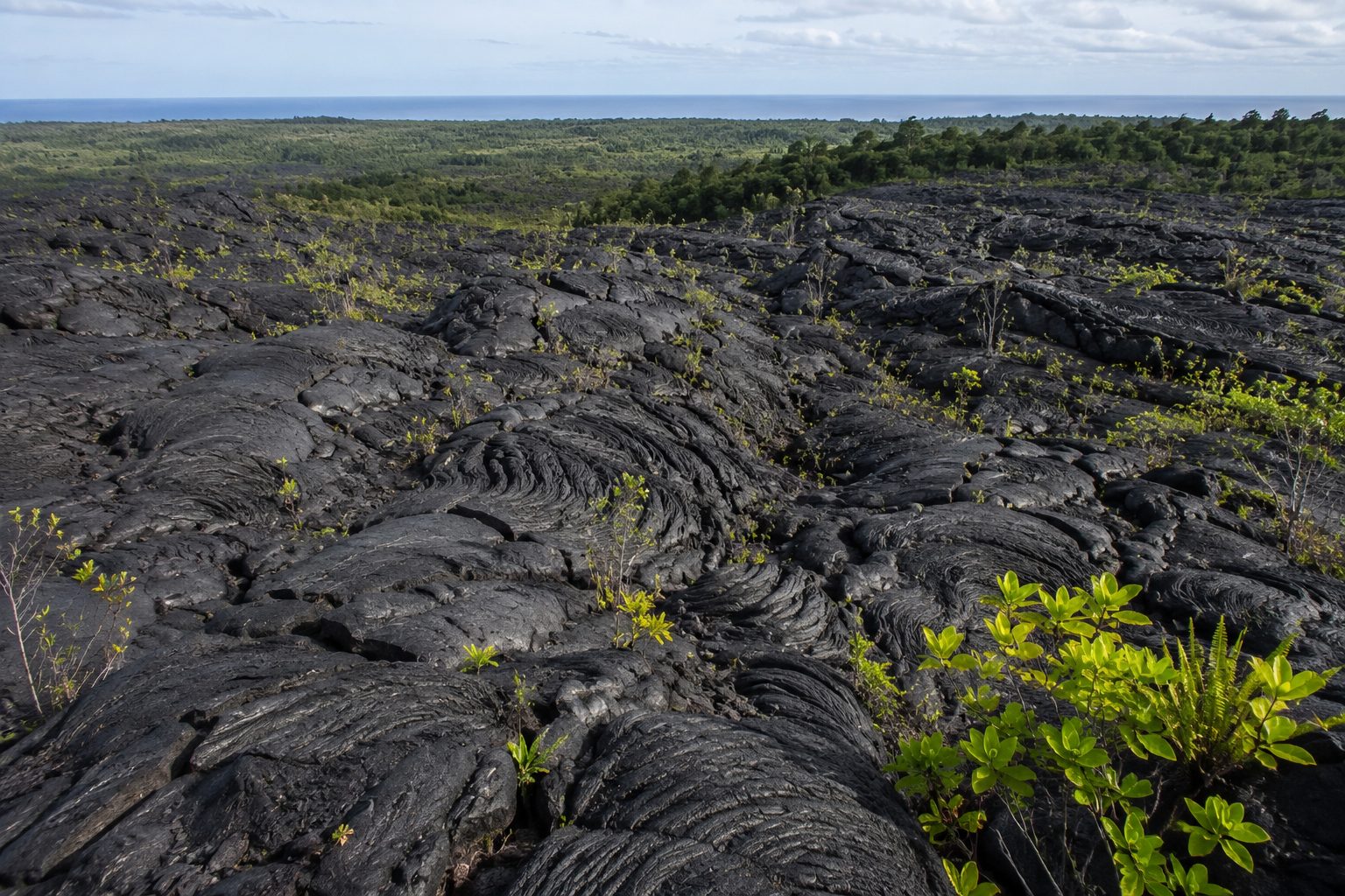 Steaming lava flow country on the lower flank of the mountain near the coast
